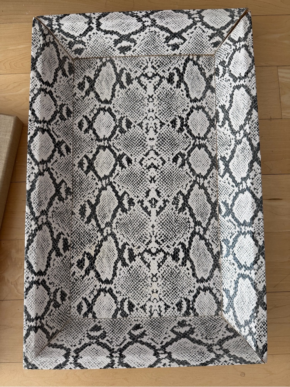🗽CB2 Snake-Print Rectangular Tray